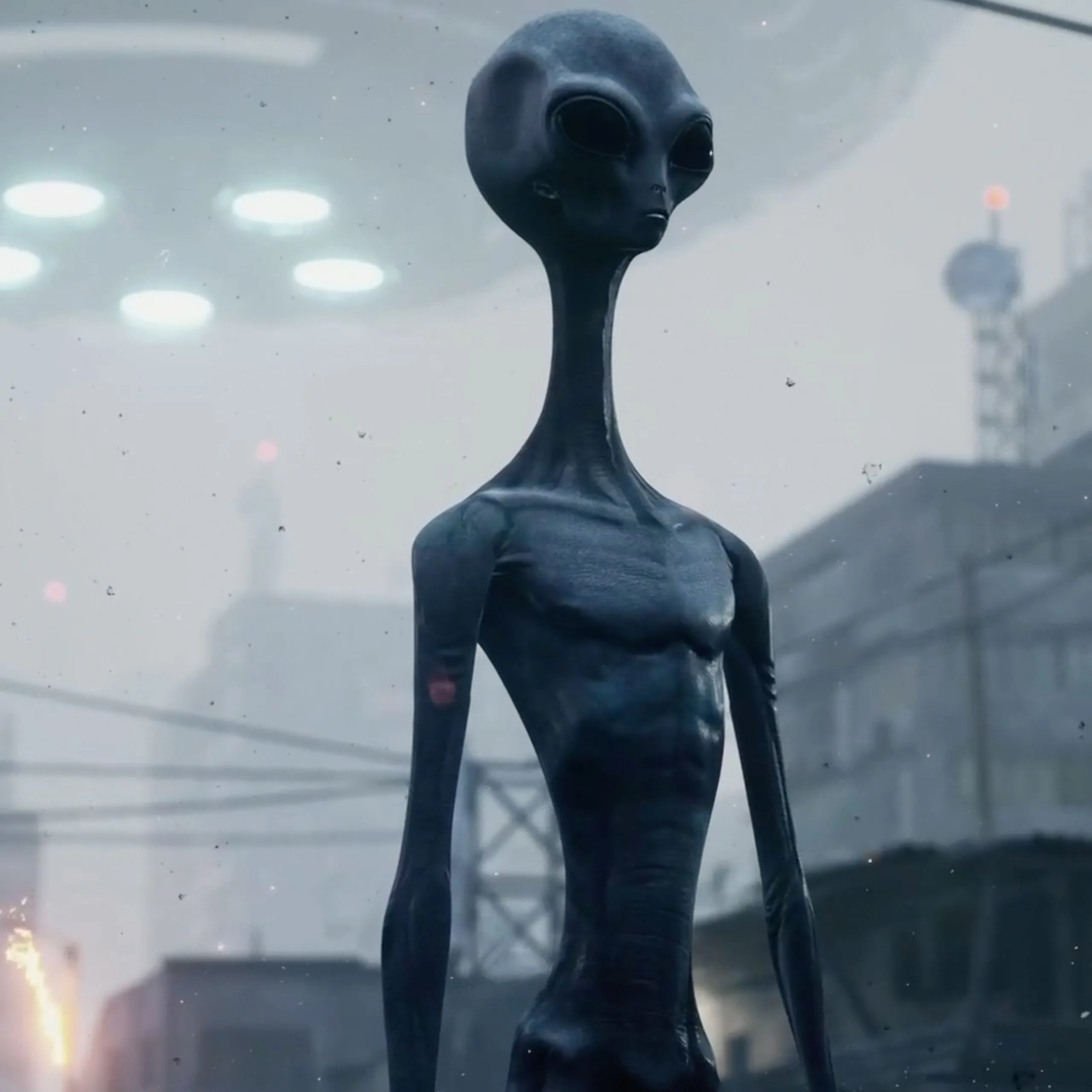 Colony