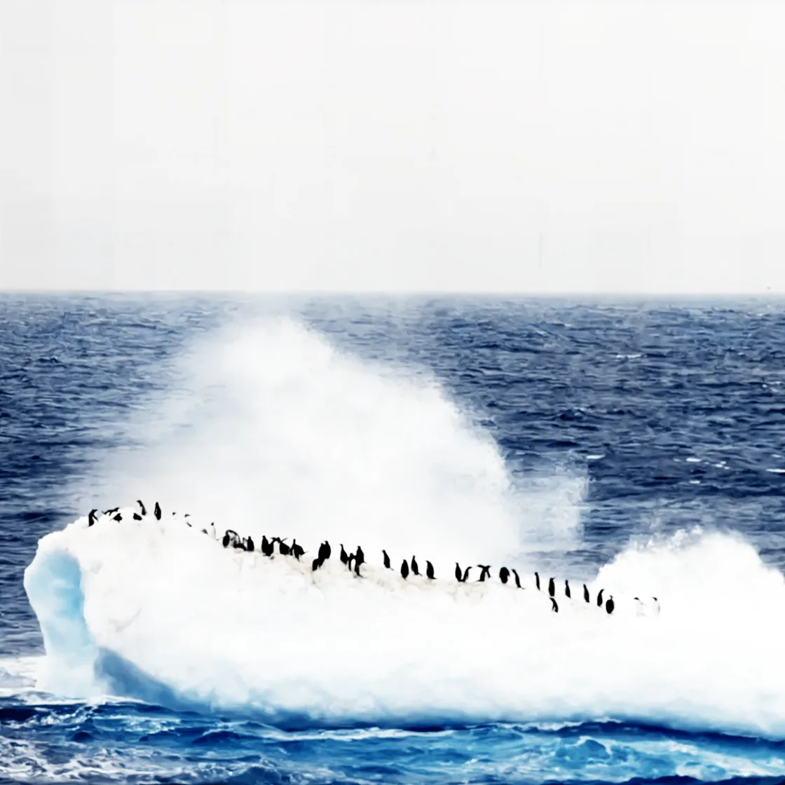 Penguins