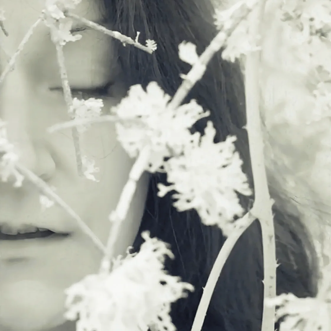 Teardrop